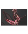 Floral - Cód. 16
