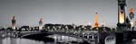 cp0014-poster-pont-alexandre-iii-paris-vs-detalhe-colorido-0421-db39077141cb1a0be115088776070429-1024-1024_201135.jpg